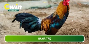 da-ga-tre